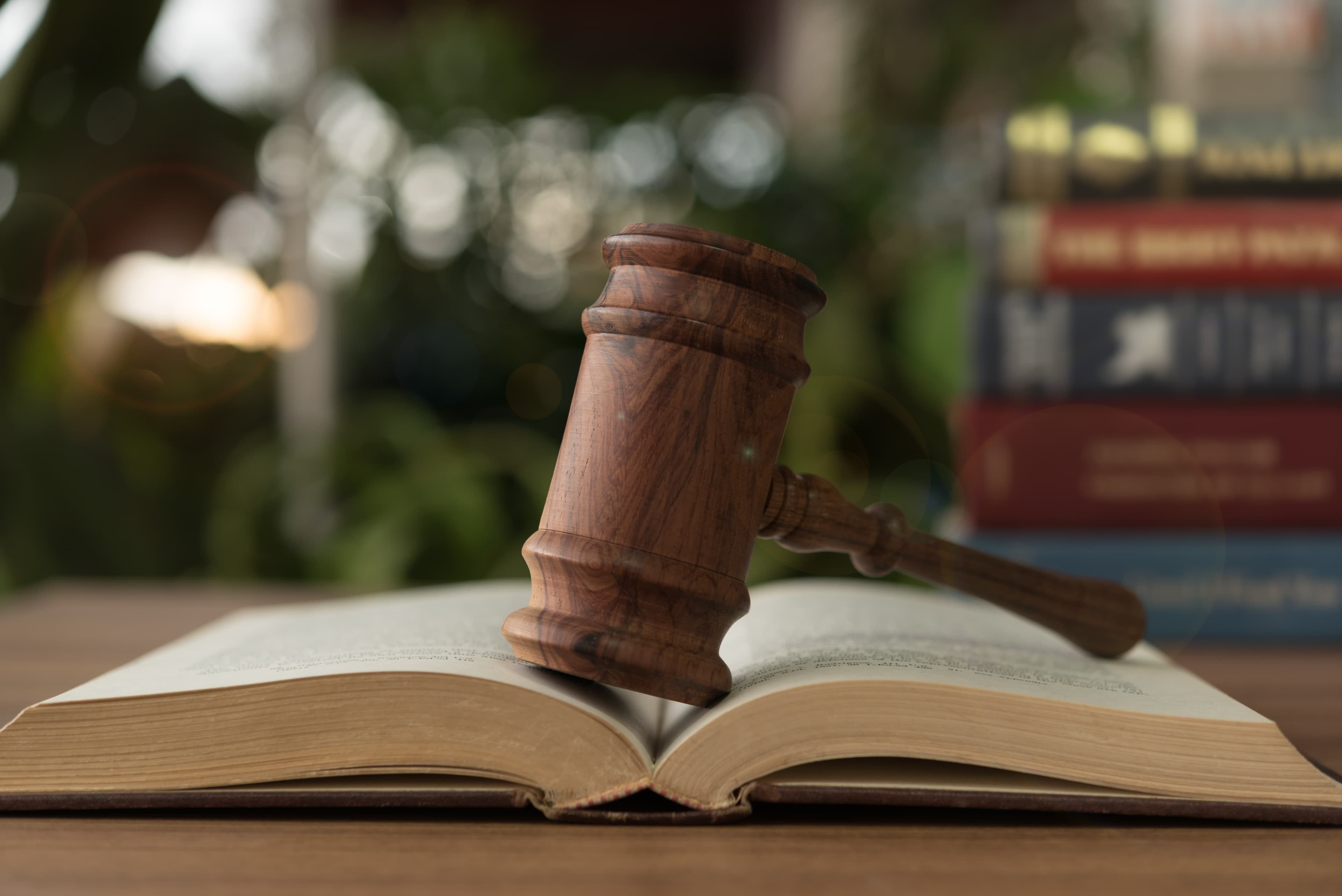 Litigation & Legal Support
